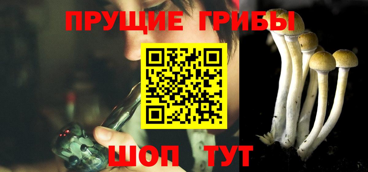 Галлюциногенные грибы мухоморы Новочебоксарск
